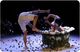 迪迪台南舞蹈教室相關照片