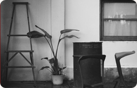 迪迪台南舞蹈教室相關照片