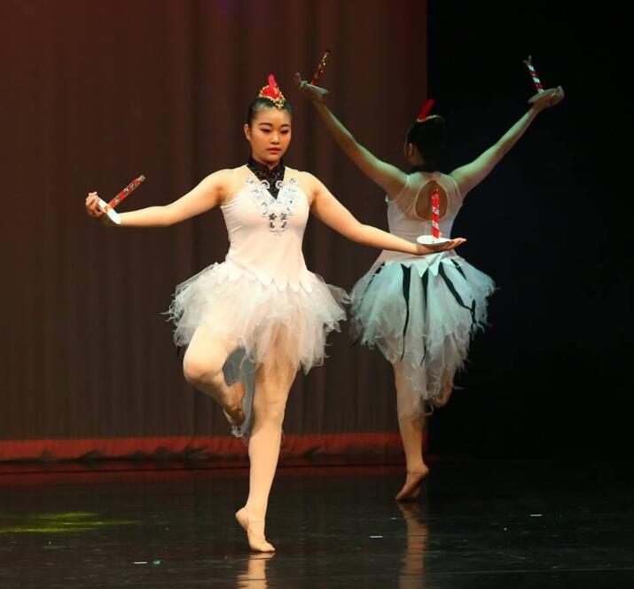 迪迪台南舞蹈教室2018台南文化中心公演