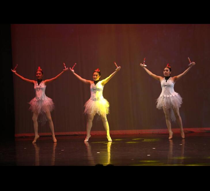 迪迪台南舞蹈教室2018台南文化中心公演