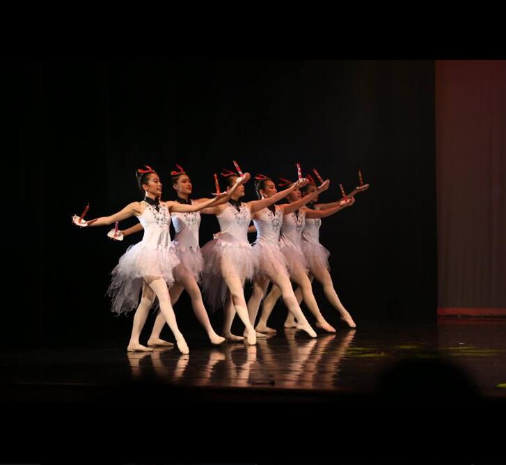 迪迪台南舞蹈教室2018台南文化中心公演