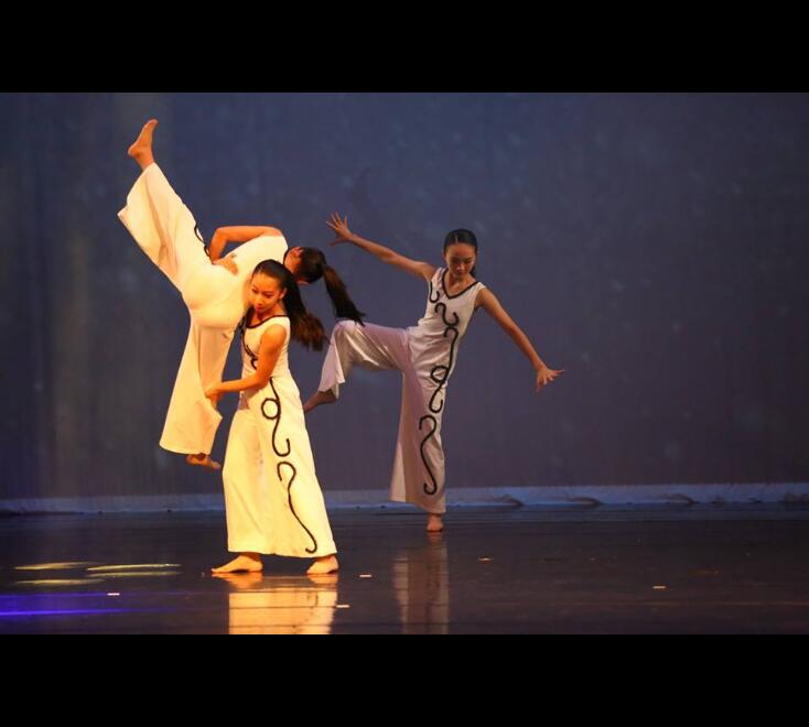 迪迪台南舞蹈教室2018台南文化中心公演