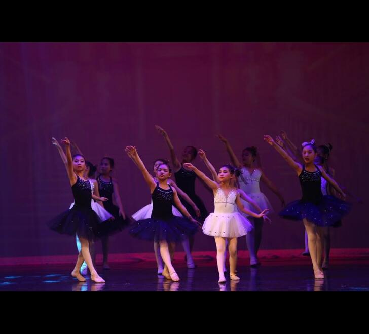 迪迪台南舞蹈教室2018台南文化中心公演